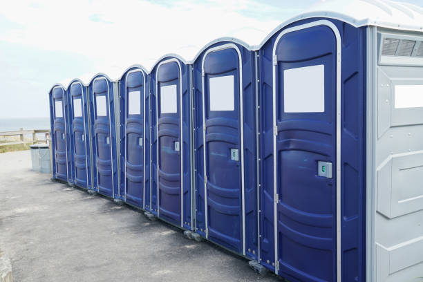 Best Portable Restroom Removal and Pickup  in Janesville, CA