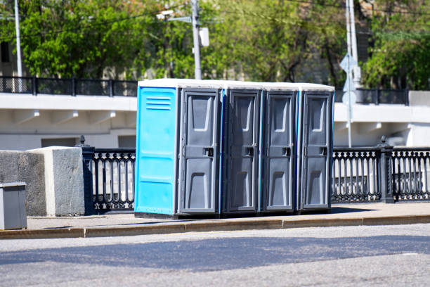 Best Eco-Friendly Portable Toilets  in Janesville, CA